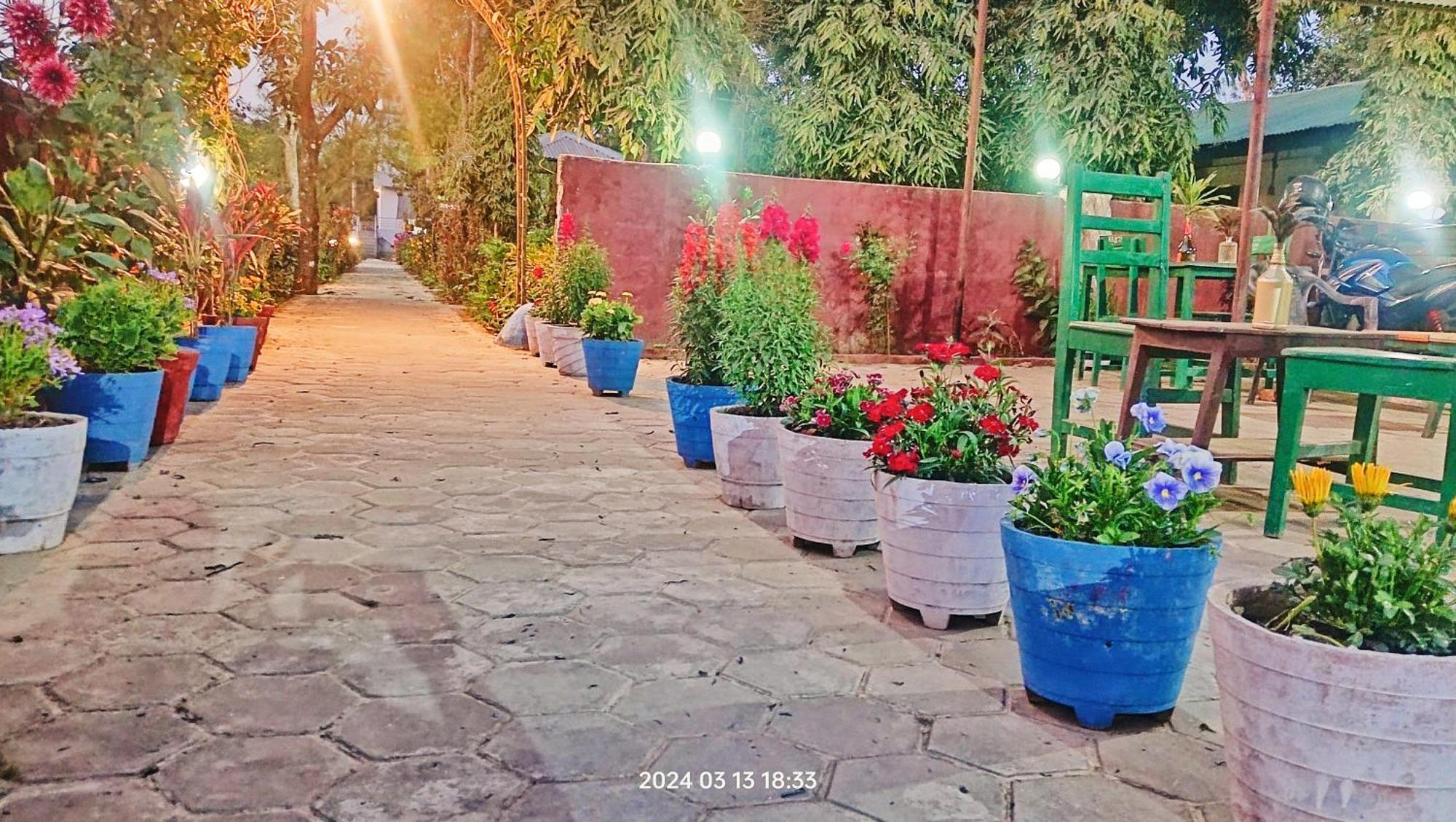 Hotel Butterfly - Peaceful Garden For Nature Lovers Sauraha Exterior foto