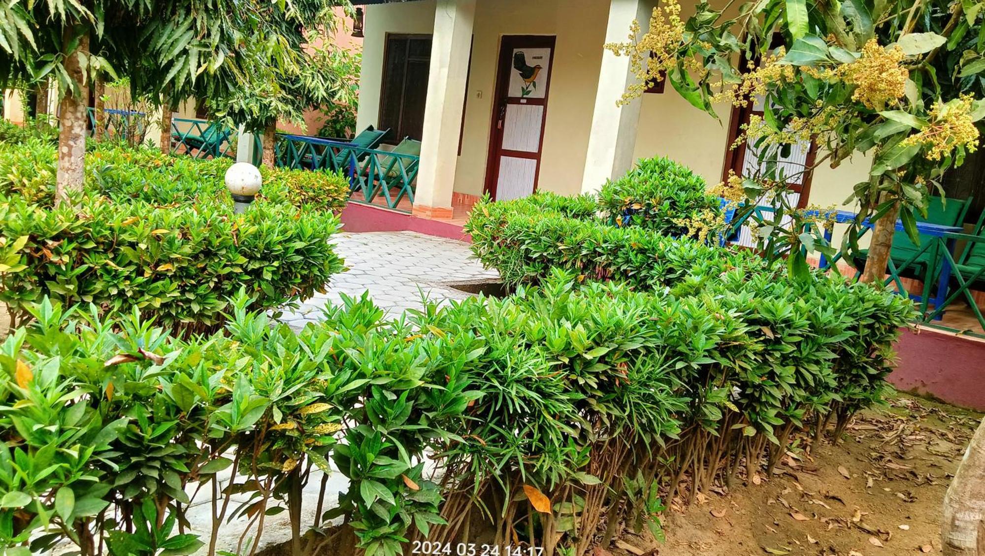 Hotel Butterfly - Peaceful Garden For Nature Lovers Sauraha Exterior foto