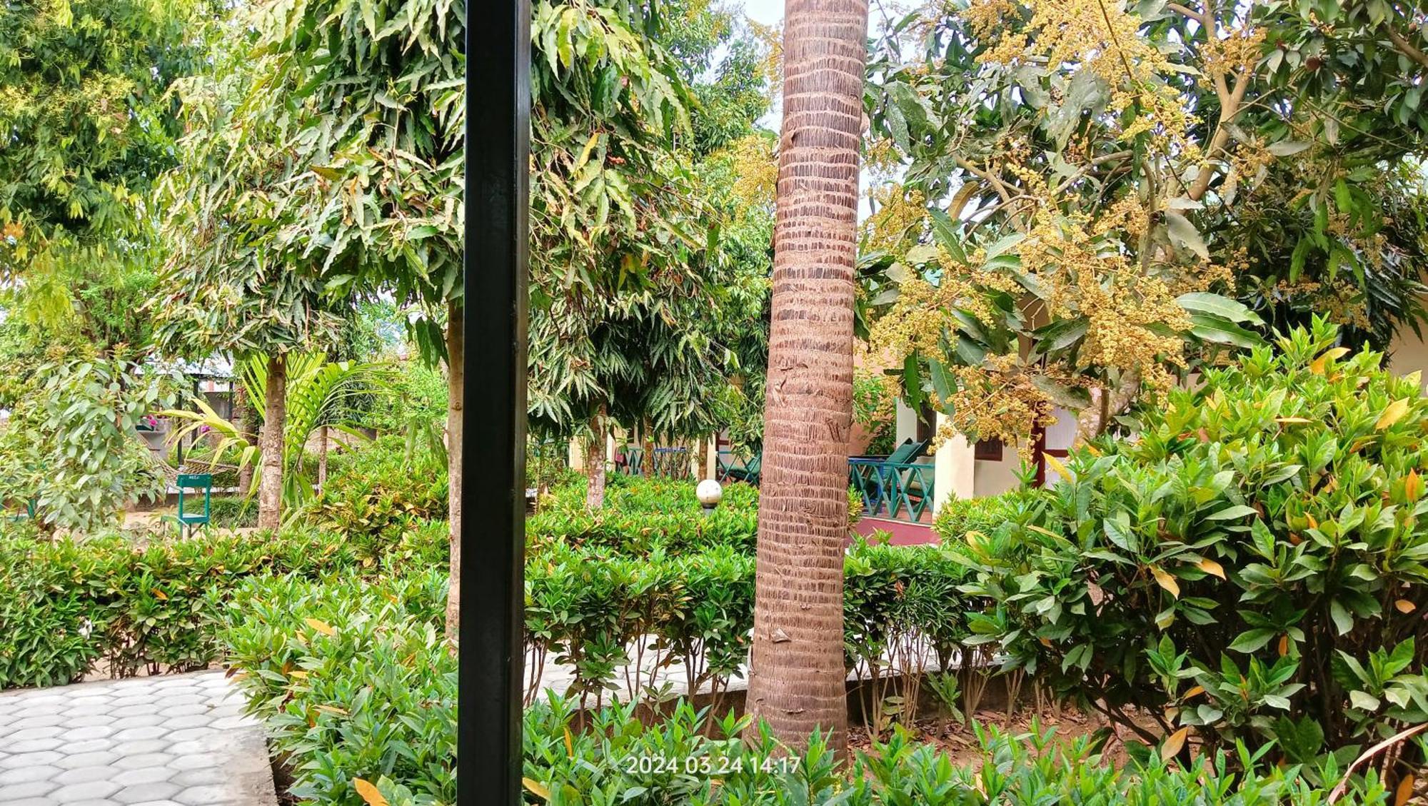 Hotel Butterfly - Peaceful Garden For Nature Lovers Sauraha Exterior foto