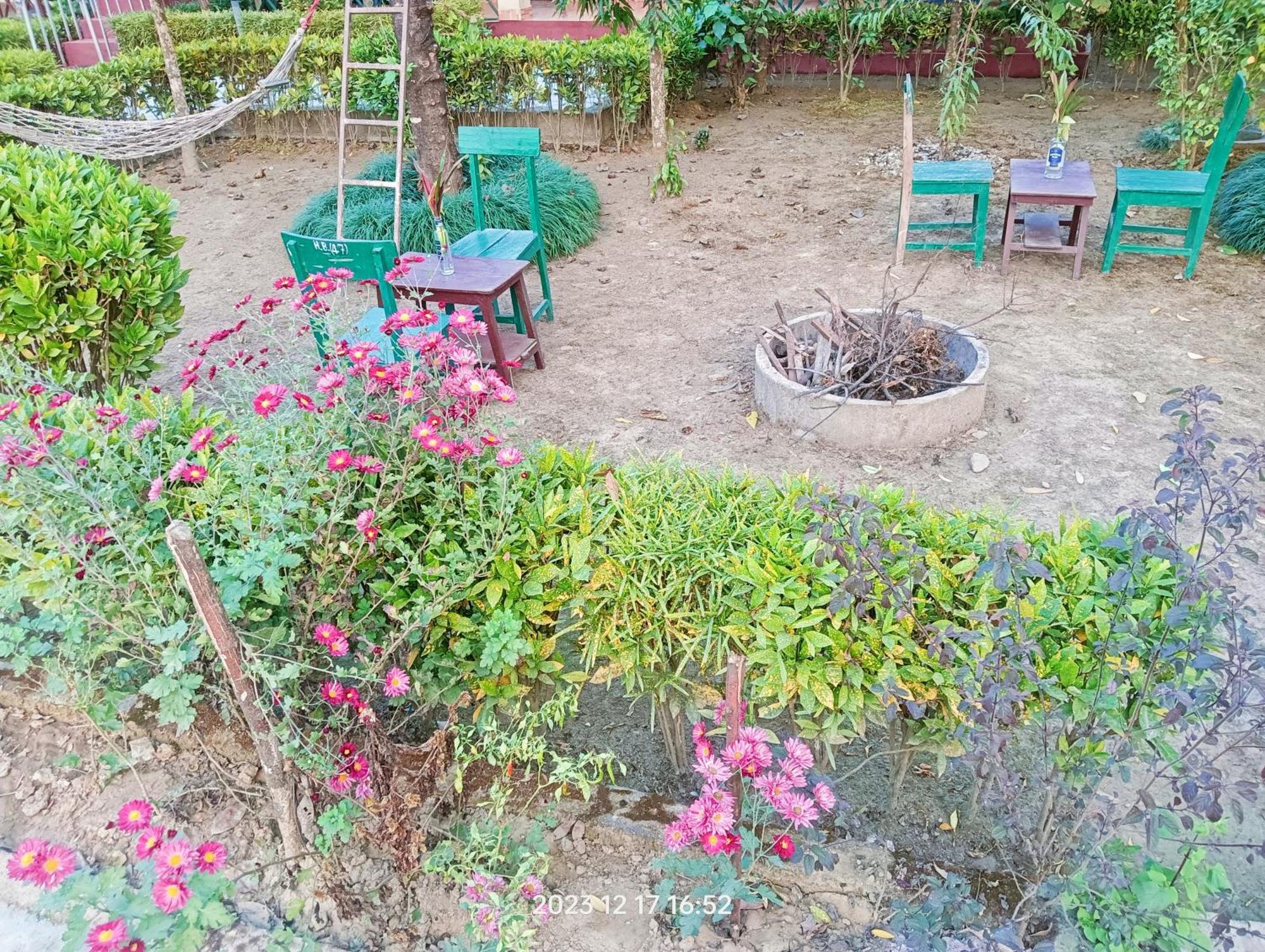 Hotel Butterfly - Peaceful Garden For Nature Lovers Sauraha Exterior foto