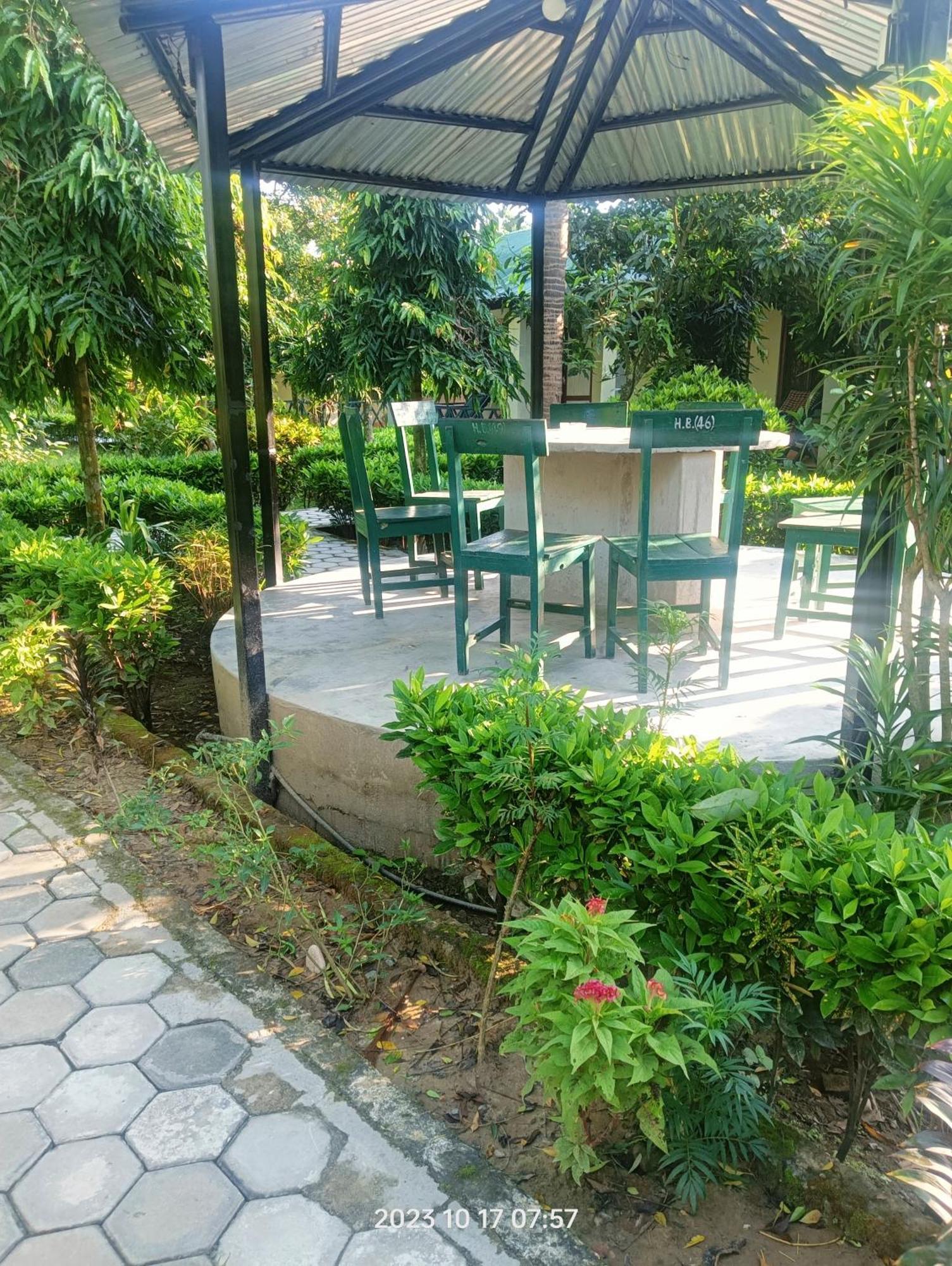 Hotel Butterfly - Peaceful Garden For Nature Lovers Sauraha Exterior foto