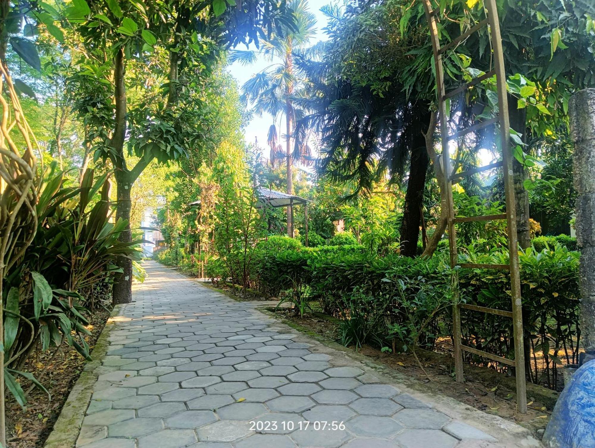 Hotel Butterfly - Peaceful Garden For Nature Lovers Sauraha Exterior foto