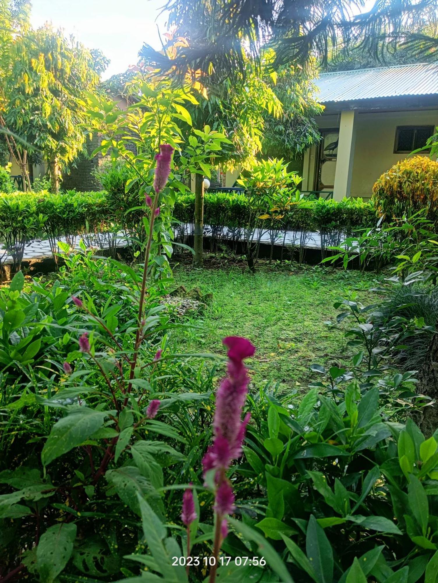 Hotel Butterfly - Peaceful Garden For Nature Lovers Sauraha Exterior foto
