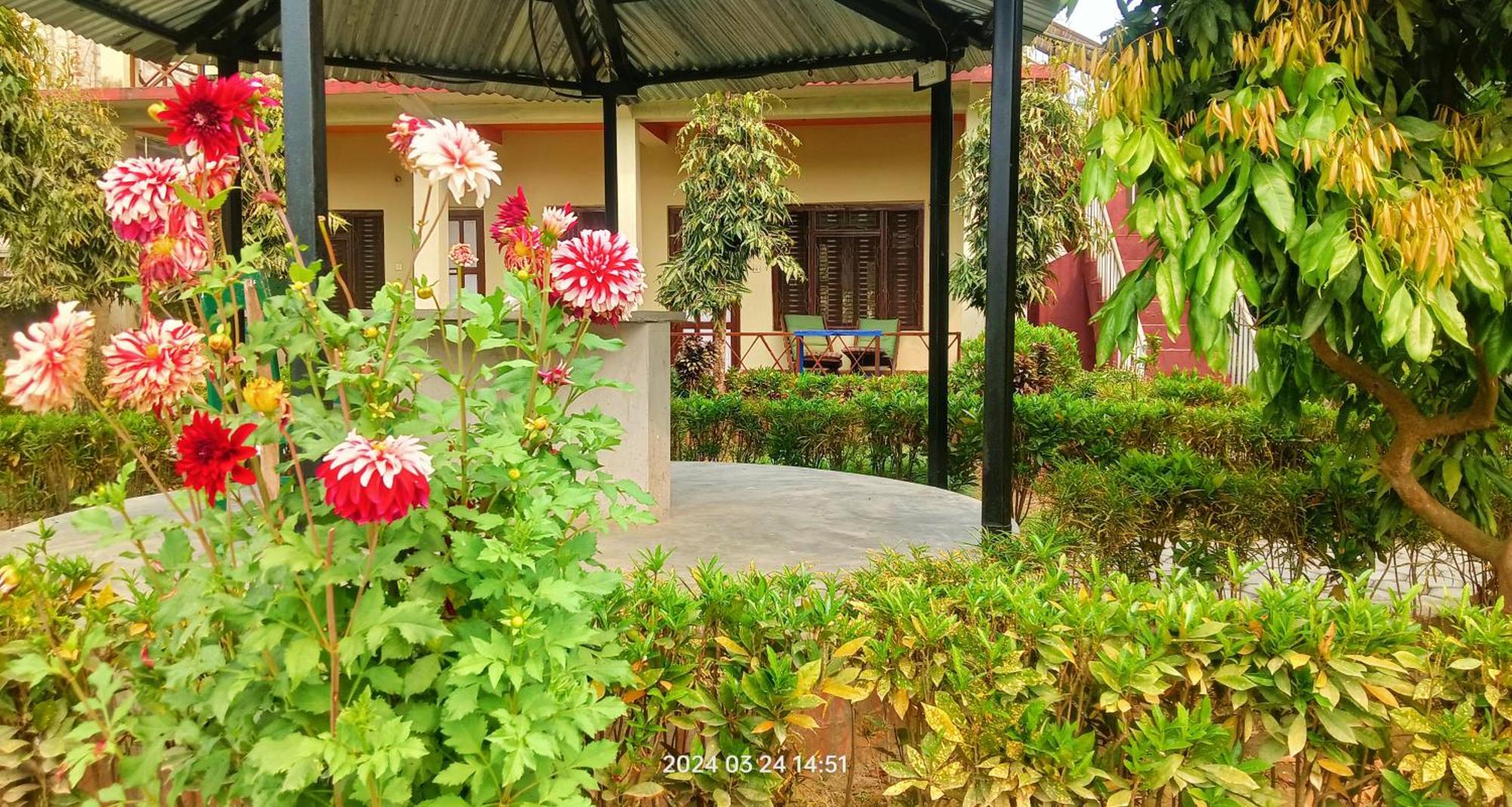 Hotel Butterfly - Peaceful Garden For Nature Lovers Sauraha Exterior foto