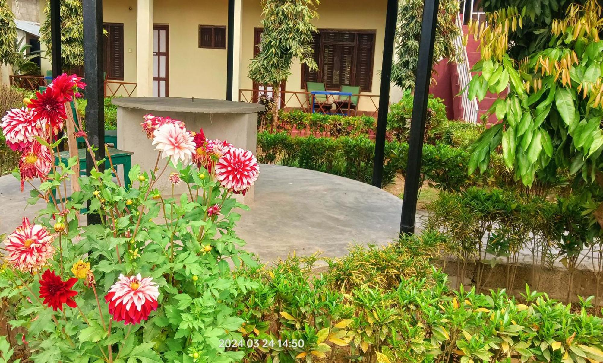 Hotel Butterfly - Peaceful Garden For Nature Lovers Sauraha Exterior foto