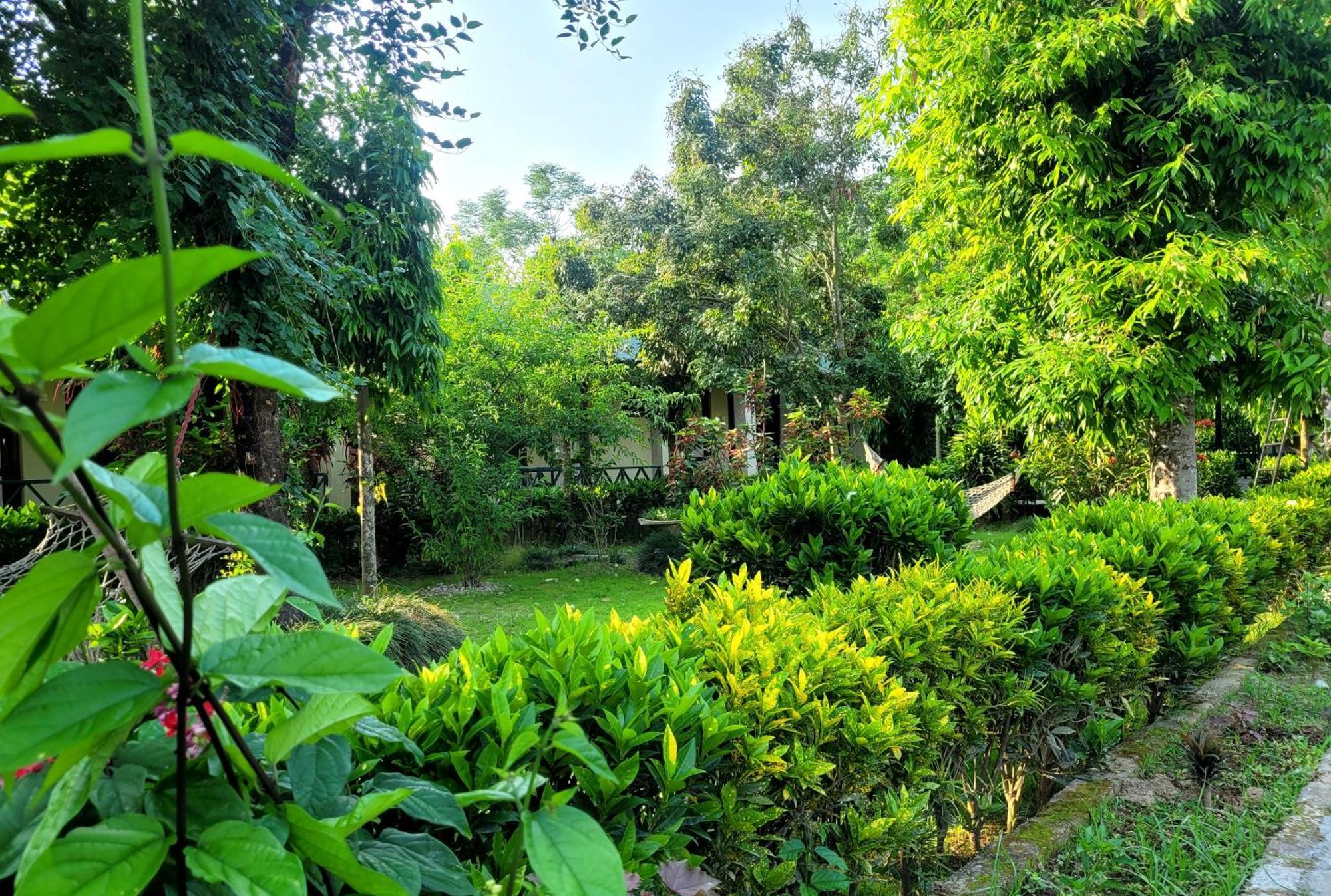 Hotel Butterfly - Peaceful Garden For Nature Lovers Sauraha Exterior foto