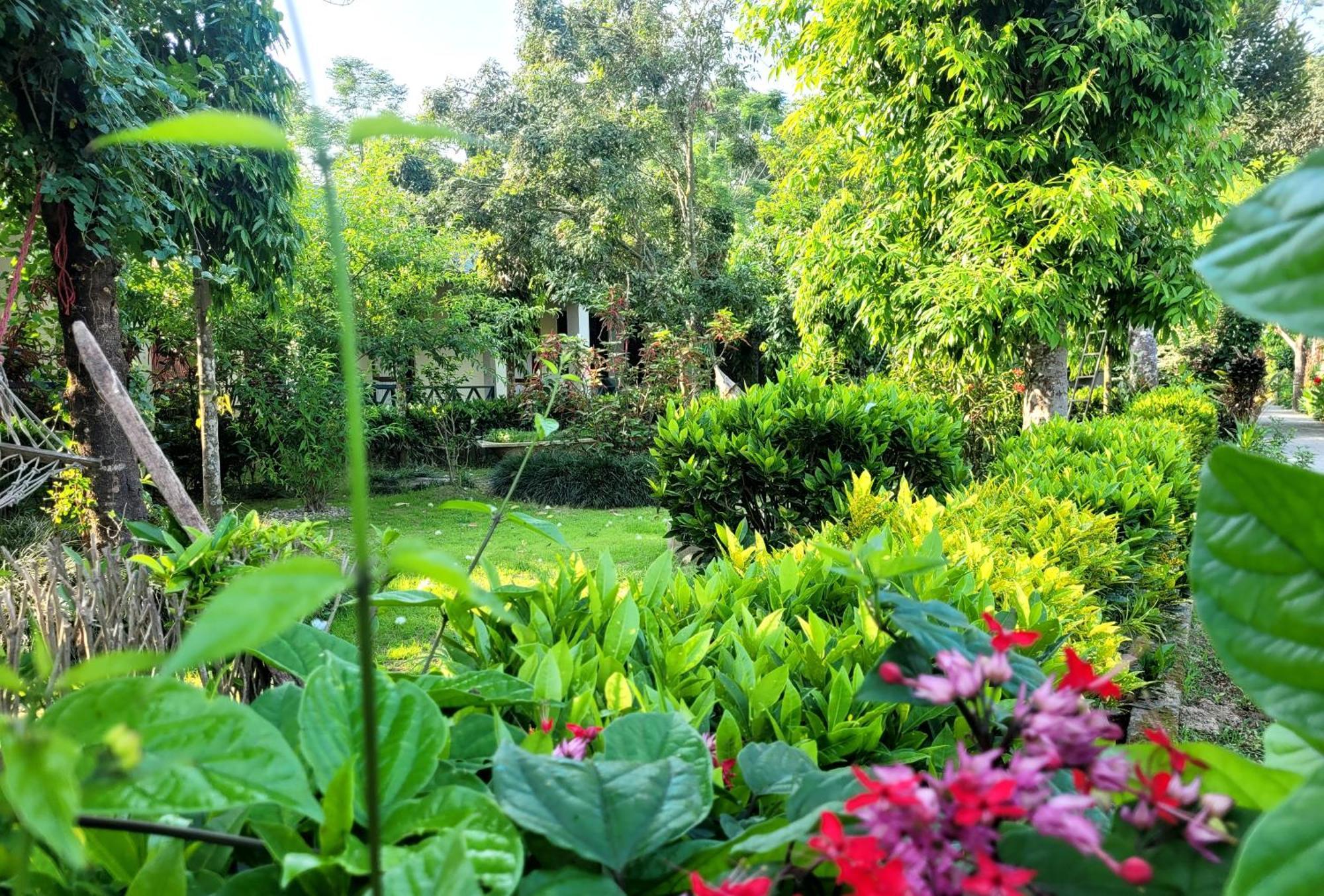 Hotel Butterfly - Peaceful Garden For Nature Lovers Sauraha Exterior foto