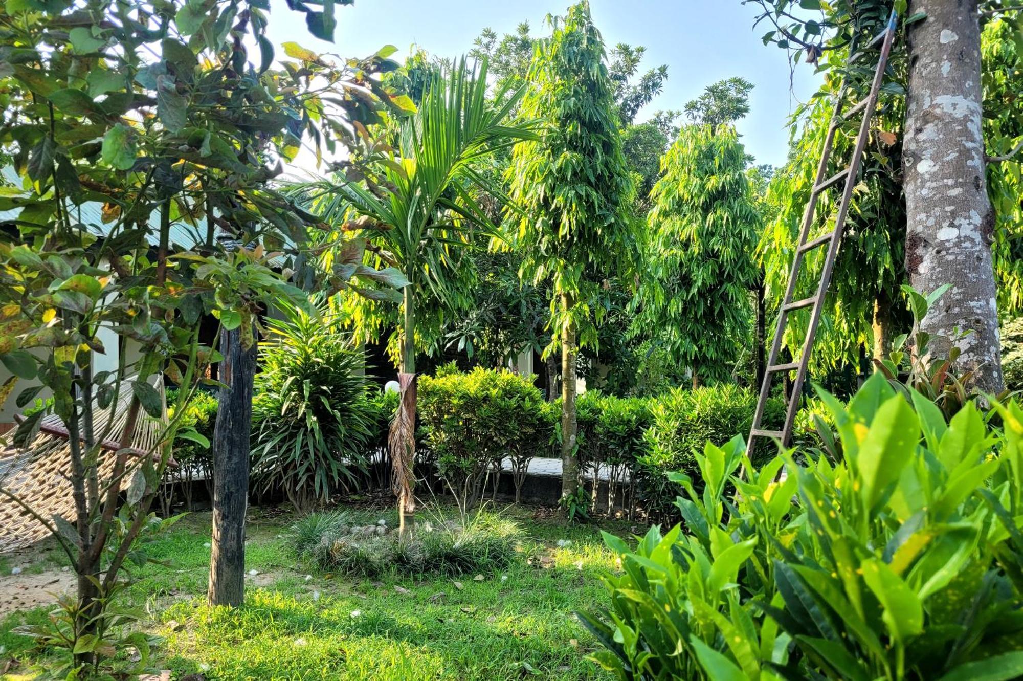 Hotel Butterfly - Peaceful Garden For Nature Lovers Sauraha Exterior foto
