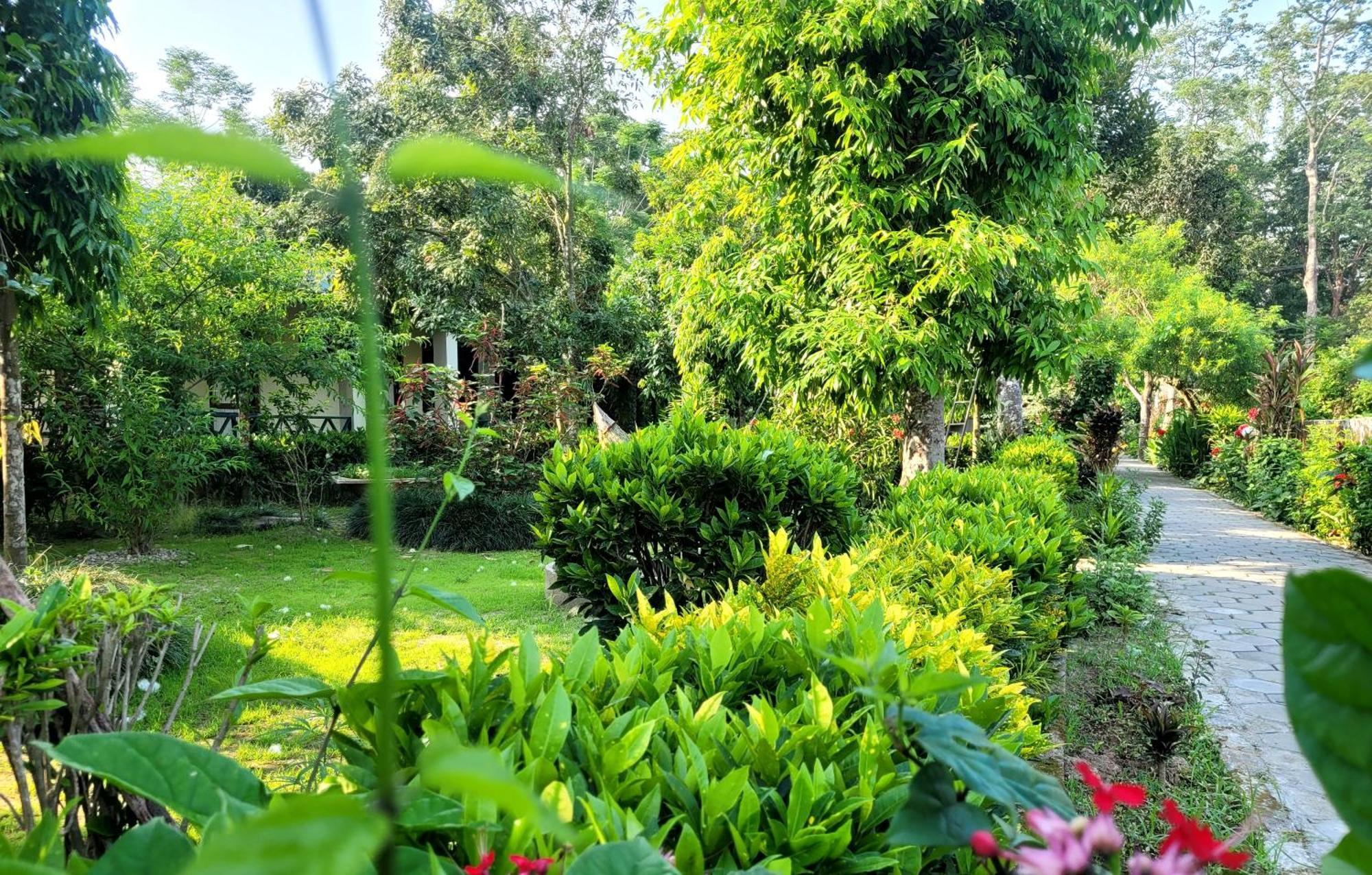 Hotel Butterfly - Peaceful Garden For Nature Lovers Sauraha Exterior foto